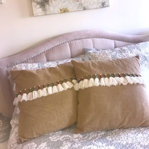 Wayfair Tassel Pillow (Set of 2)
